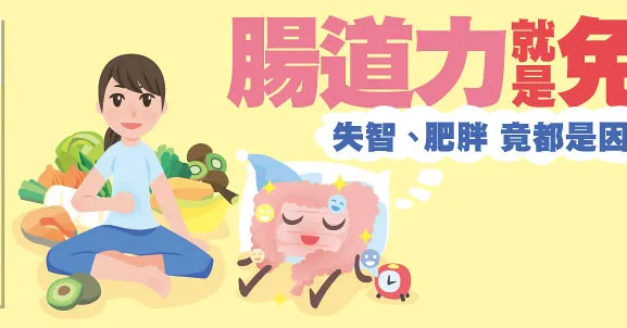 腸道力 就是免疫力