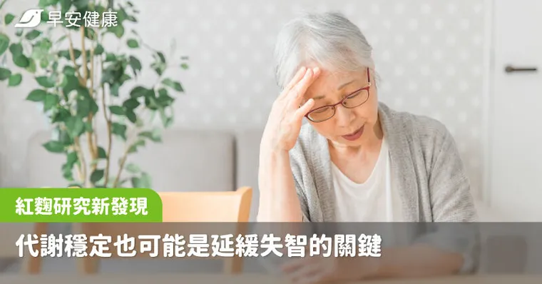 紅麴研究新發現：代謝穩定也可能是延緩失智的關鍵