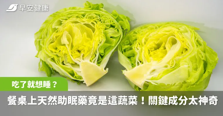 吃了就想睡？餐桌上天然助眠藥竟是這蔬菜！醫曝關鍵成分太神奇