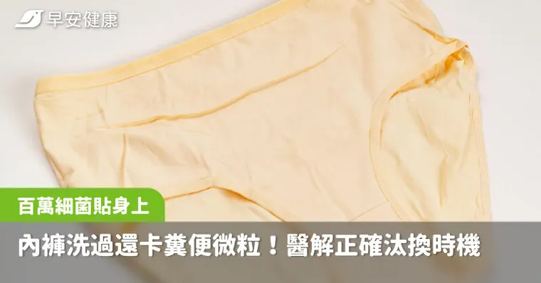 內褲洗過還卡糞便微粒！百萬細菌貼身上，醫解正確汰換時機多1步殺菌