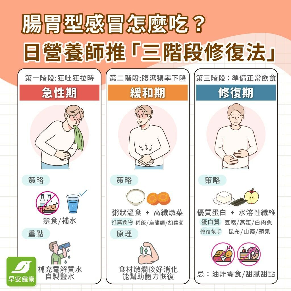 腸胃型感冒一直吐怎麼辦？2026急救SOP、飲食禁忌與傳染期詳解