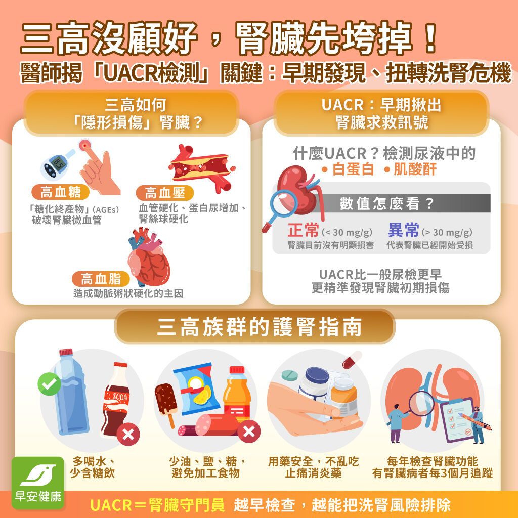 三高沒顧好，腎臟先垮掉！醫師揭「UACR 檢測」關鍵：早期發現、扭轉洗腎危機