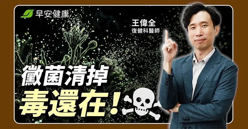 黴菌毒素是過敏、腦霧與疼痛真兇？醫師教4招排出體內黴菌毒素！