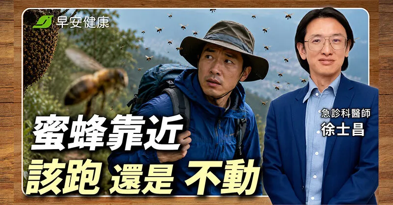 被蜜蜂叮怎麼辦？急診醫教正確蜂螫處理3步驟：秋季登山防蜂必看