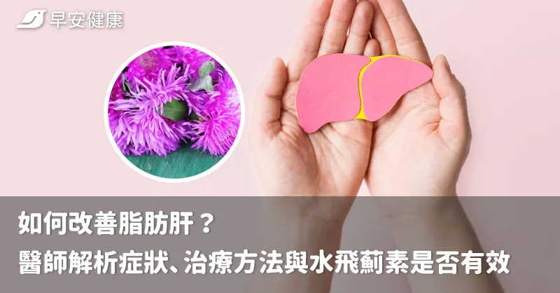 如何改善脂肪肝？醫師解析症狀、治療方法與水飛薊素是否有效