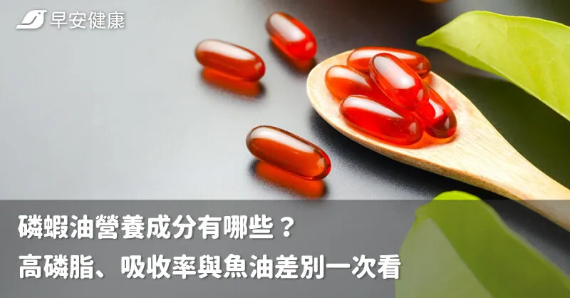 磷蝦油營養成分有哪些？高磷脂、吸收率與魚油差別一次看