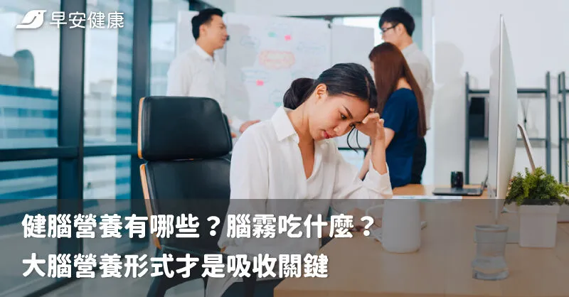 健腦營養有哪些？腦霧吃什麼？大腦營養形式才是吸收關鍵