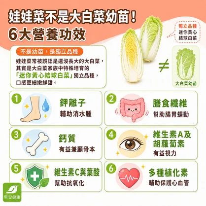 娃娃菜是大白菜小時候？放3週不壞原因，怎麼挑與娃娃菜料理做法