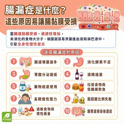 腸漏症是什麼？腸漏症原因、慢性發炎與腸腦軸修復全指南