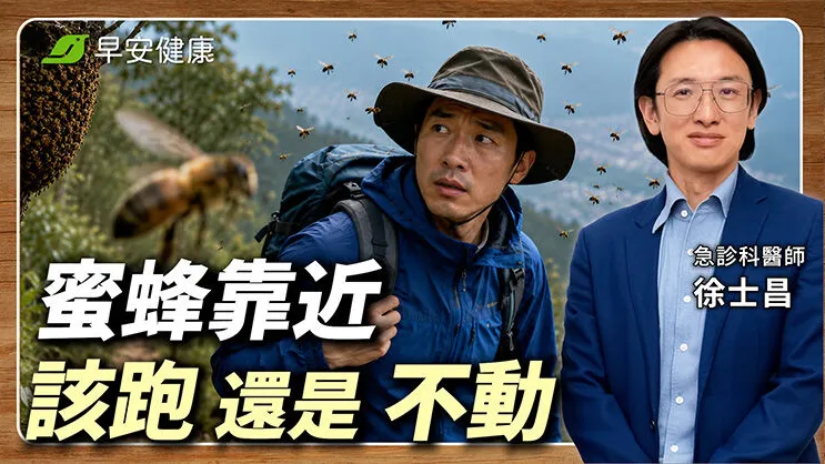 被蜜蜂叮怎麼辦？急診醫教正確蜂螫處理3步驟：秋季登山防蜂必看