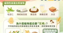 高蛋白怎麼吃？10種高蛋白質食物清單｜植物性高蛋白聰明選