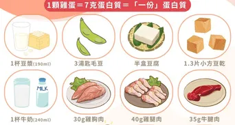 蛋白質攝取量多少才夠？解析高蛋白食物排行與增肌減脂吃法