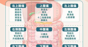 胃痛怎麼辦？從胃痛原因到緩解方法、飲食與就醫警訊一次看