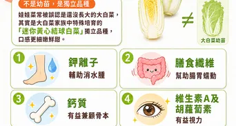 娃娃菜是大白菜小時候？放3週不壞原因，怎麼挑與娃娃菜料理做法