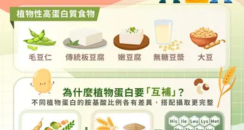 高蛋白怎麼吃？10種高蛋白質食物清單｜植物性高蛋白聰明選
