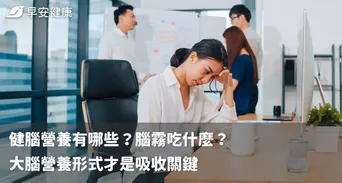 健腦營養有哪些？腦霧吃什麼？大腦營養形式才是吸收關鍵