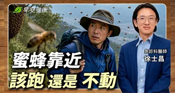 被蜜蜂叮怎麼辦？急診醫教正確蜂螫處理3步驟：秋季登山防蜂必看