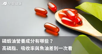 磷蝦油營養成分有哪些？高磷脂、吸收率與魚油差別一次看