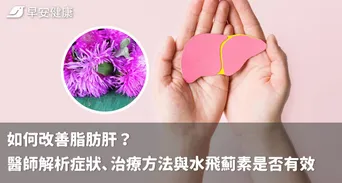 如何改善脂肪肝？醫師解析症狀、治療方法與水飛薊素是否有效