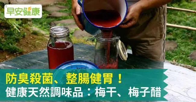 防臭殺菌、整腸健胃！健康天然調味品：梅干、梅子醋