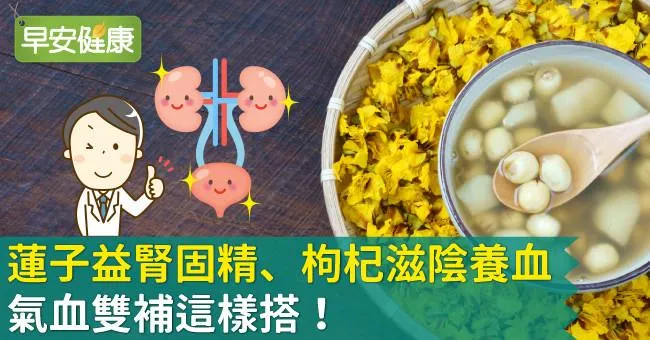 蓮子益腎固精、枸杞滋陰養血，氣血雙補這樣搭！