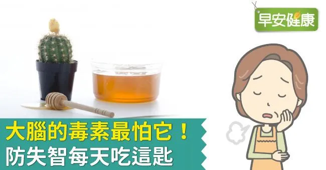 大腦的毒素最怕它！防失智每天吃這匙