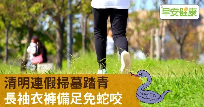清明連假掃墓踏青，衣褲長靴備足免蛇咬