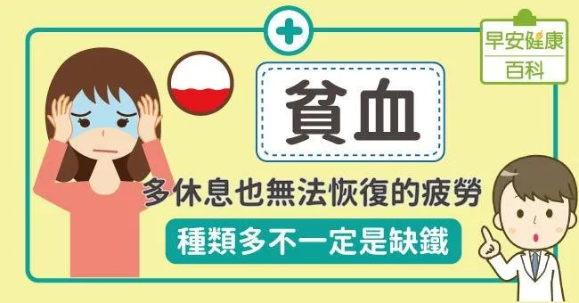 貧血：多休息也無法恢復的疲勞！種類多不一定是缺鐵