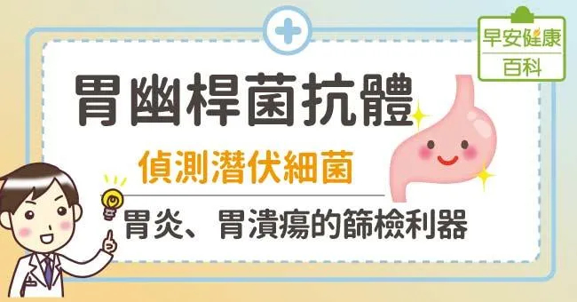胃幽桿菌抗體：偵測潛伏細菌！胃炎、胃潰瘍的篩檢利器