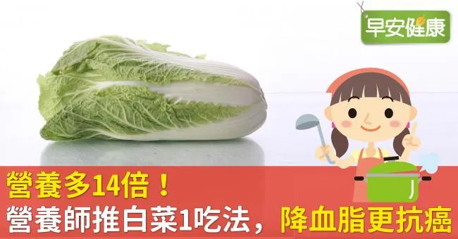 營養多14倍！營養師推白菜1吃法，降血脂更抗癌