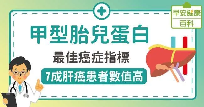 甲型胎兒蛋白：最佳癌症指標！7成肝癌患者數值高