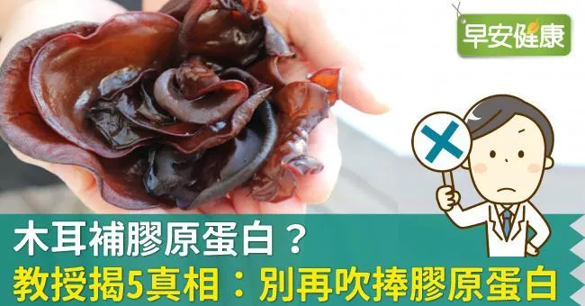 木耳補膠原蛋白？教授揭5真相：別再吹捧膠原蛋白