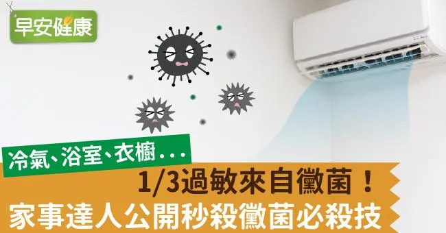 ⅓過敏來自黴菌！家事達人公開秒殺黴菌必殺技
