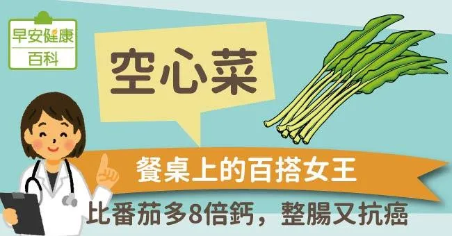 空心菜：餐桌上的百搭女王！比番茄多8倍鈣，整腸又抗癌