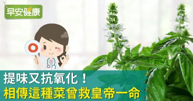 提味又抗氧化！相傳這種菜曾救皇帝一命！