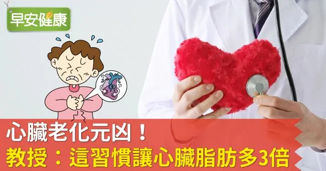 心臟老化元凶！教授：這習慣讓心臟脂肪多3倍