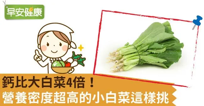 鈣是大白菜2倍！營養密度超高的小白菜這樣挑