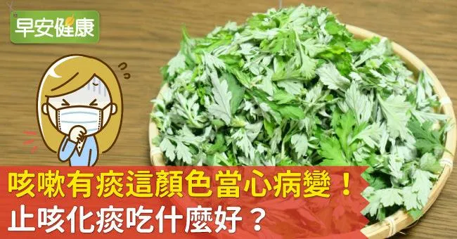 咳嗽有痰這顏色當心病變！止咳化痰吃什麼好？