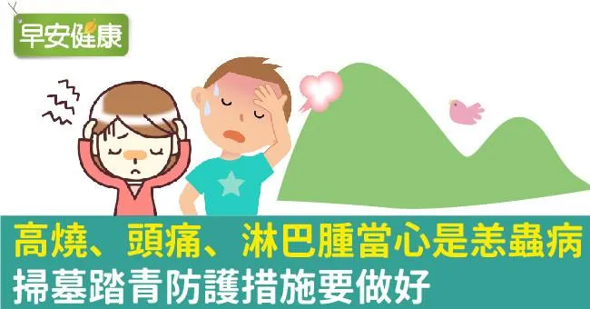 高燒、頭痛、淋巴腫大當心是恙蟲病！掃墓踏青防護措施要做好