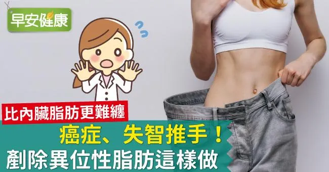 癌症、失智推手！剷除異位性脂肪這樣做