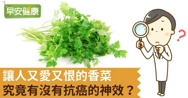 讓人又愛又恨的香菜，究竟有沒有抗癌的神效？