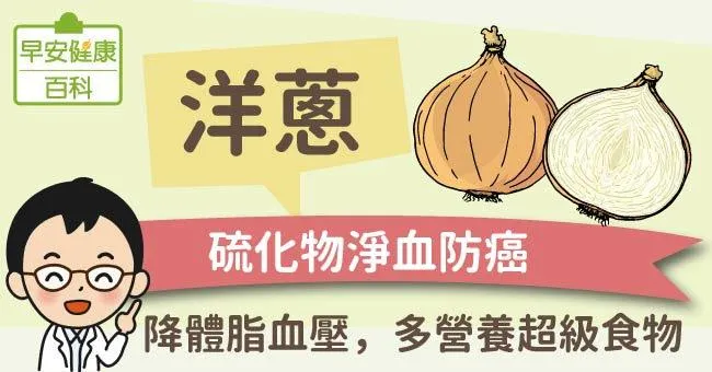 洋蔥：硫化物淨血防癌！降體脂血壓，多營養超級食物