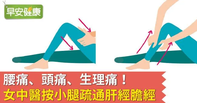 腰痛、頭痛、生理痛！女中醫按小腿疏通肝經膽經