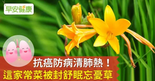抗癌防病清肺熱！這家常菜被封舒眠忘憂草