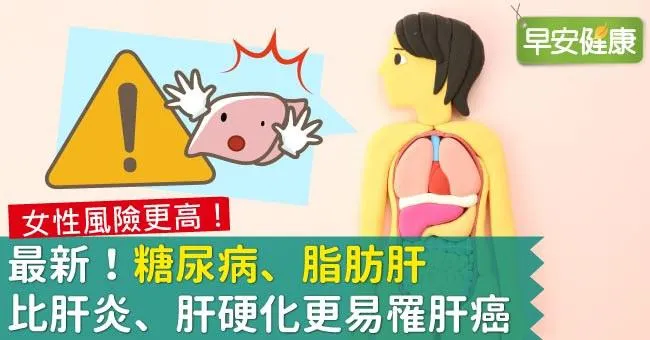 最新！糖尿病、脂肪肝比肝炎、肝硬化更易罹肝癌