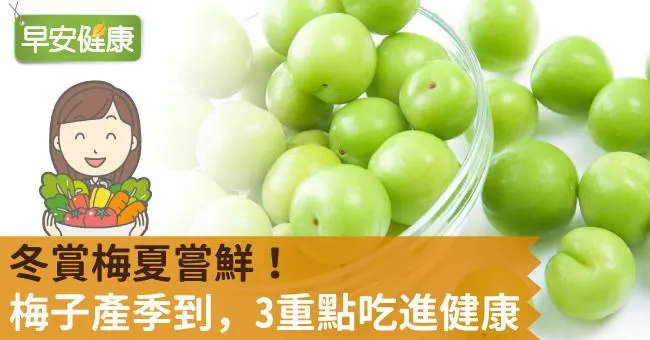 梅子產季到，3重點吃進健康