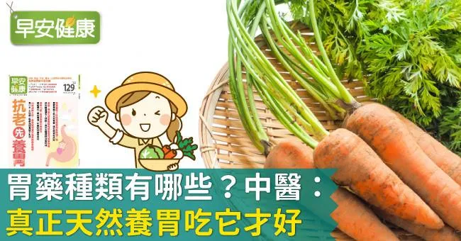 胃藥種類有哪些？中醫：真正天然養胃吃它才好