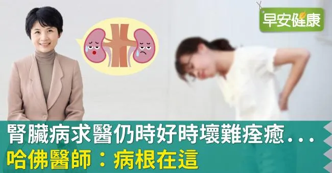 腎臟病求醫仍時好時壞難痊癒...哈佛醫師：病根在這
