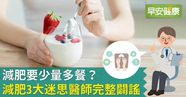 減肥要少量多餐？減肥3大迷思醫師完整闢謠