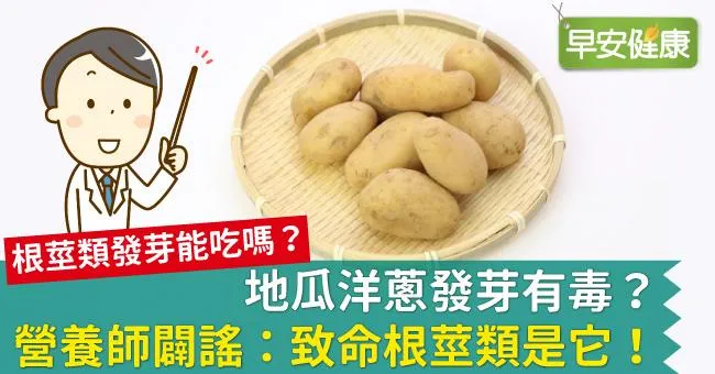 地瓜洋蔥發芽有毒？營養師闢謠：致命根莖類是它！